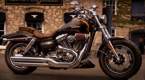 FXDFSE Screamin Eagle Dyna Fat Bob