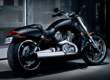 VRSCF V-Rod Muscle