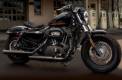 Sportster Forty-Eigth