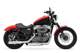 Harley-Davidson Sportster XL 1200 Nightster Modelljahr 2010 <br><font size=-1>(Download per Mausklick rechts)</font>