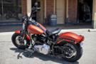 Softail Cross Bones
