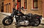 Softail Cross Bones