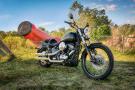 Softail Blackline
