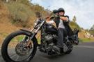 Softail Blackline