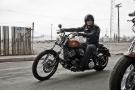 Softail Blackline