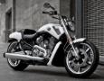 V-Rod Muscle