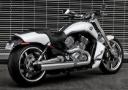 V-Rod Muscle