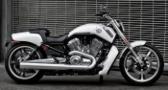 V-Rod Muscle