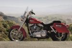 Dyna Switchback