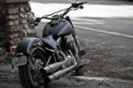Softail Slim