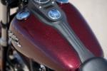 Dyna Street Bob
