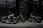 Sportster XL 1200 Custom
