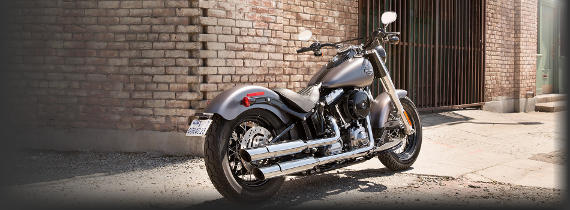 Softail Slim 2014