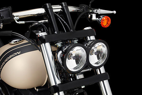 Stoßdämpfer & Fußrasten für Harley Davison & Custombike