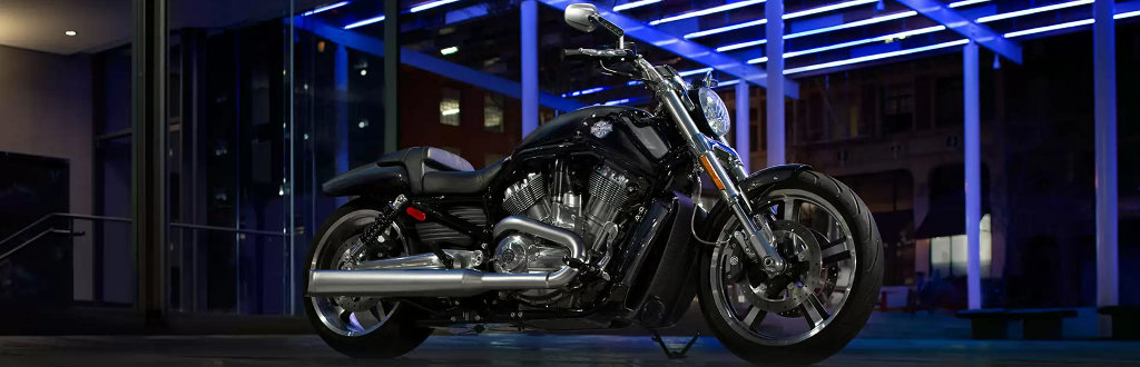 V-Rod Muscle 2015