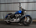 Sportster XL 1200 Custom Modell 2016 in Superior Blue