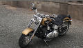 Softail Fat Boy Modell 2017 in Black Hills Gold & Black Quartz (2017 neu)