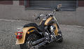 Softail Fat Boy Modell 2017 in Black Hills Gold & Black Quartz (2017 neu)