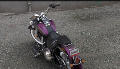 Softail Deluxe Modell 2017 in Hard Candy Mystic Purple Flake (2017 neu)