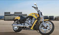 V-Rod Muscle Modell 2017 in Corona Yellow Pearl (2017 neu) Corona Yellow Pearl (2017 neu)