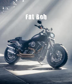 Harley-Davidson Softail Softail Fat Bob Modelljahr 2018