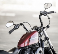 Sportster Forty-Eight Special / Hoher Tallboy-Lenker