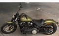 Softail Street Bob Modell 2018 in Olive Gold Softail Street Bob Modell 2018 in Olive Gold