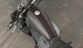 Sportster XL 1200 Roadster Modell 2018 in Industrial Gray Denim / Black Denim
