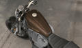 Sportster XL 1200 Roadster Modell 2018 in Sumatra Brown