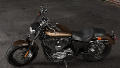 Sportster XL 1200 Custom Modell 2018 in Sumatra Brown