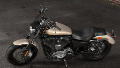 Sportster XL 1200 Custom Modell 2018 in Silver Fortune / Black Tempest