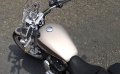 Sportster Super Low 1200 T Modell 2018 in Silver Fortune / Sumatra Brown