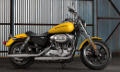 Sportster XL 883 SuperLow Modell 2018 in Corona Yellow Pearl