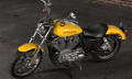 Sportster XL 883 SuperLow Modell 2018 in Corona Yellow Pearl