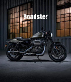 Harley-Davidson Sportster Sportster XL 1200 Roadster Modelljahr 2018