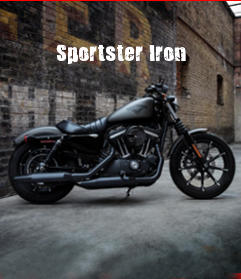 Harley-Davidson Sportster Sportster Iron Modelljahr 2018