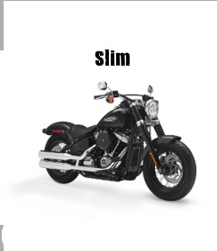 Harley-Davidson Softail Softail Slim Modelljahr 2019