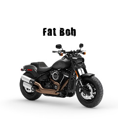 Harley-Davidson Softail Softail Fat Bob Modelljahr 2019