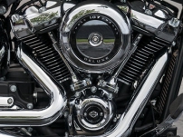 Softail Deluxe / Milwaukee-Eight 107 V-Twin