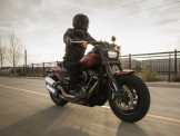 Softail Fat Bob / 43-mm-Upside-down-Gabel