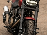 Softail Fat Bob / High-Performance Frontfederung