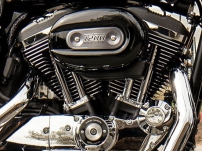 Sportster XL 1200 Custom / Luftgekhlter Evolution V-Twin mit 1200 ccm