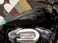 Sportster XL 883 SuperLow / Walnut-Tank (17 Liter)