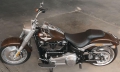 Softail Fat Boy Modell 2019 in Rawhide