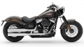 Softail Slim Modell 2019 in Industrial Gray