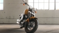 Softail Slim Modell 2019 in Rugged Gold Denim