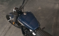 Softail Street Bob Modell 2019 in Billiard Blue