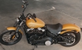 Softail Street Bob Modell 2019 in Rugged Gold Denim