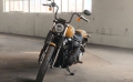 Softail Street Bob Modell 2019 in Rugged Gold Denim