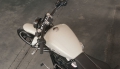 Softail Breakout Modell 2019 in Bonneville Salt Pearl